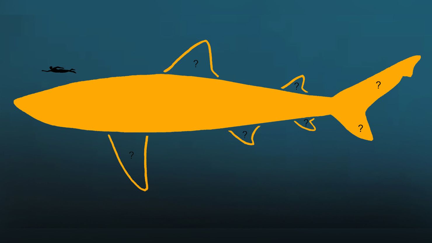 Megalodon Megladon Shark Extinct Biggest Shark Lite T-Shirt