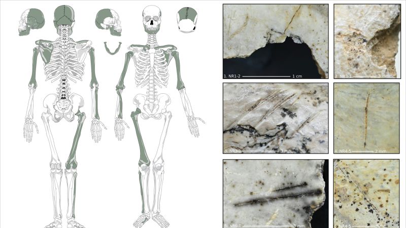 Early Europeans may have eaten their enemies’ brains, archaeologists say