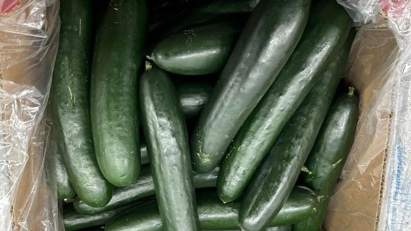 Recalled cucumbers related to multistate salmonella outbreak, fitness businesses warn | The Gentleman Report