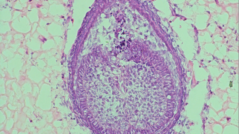 Връзката е копирана Не е изненадващо че много хора се