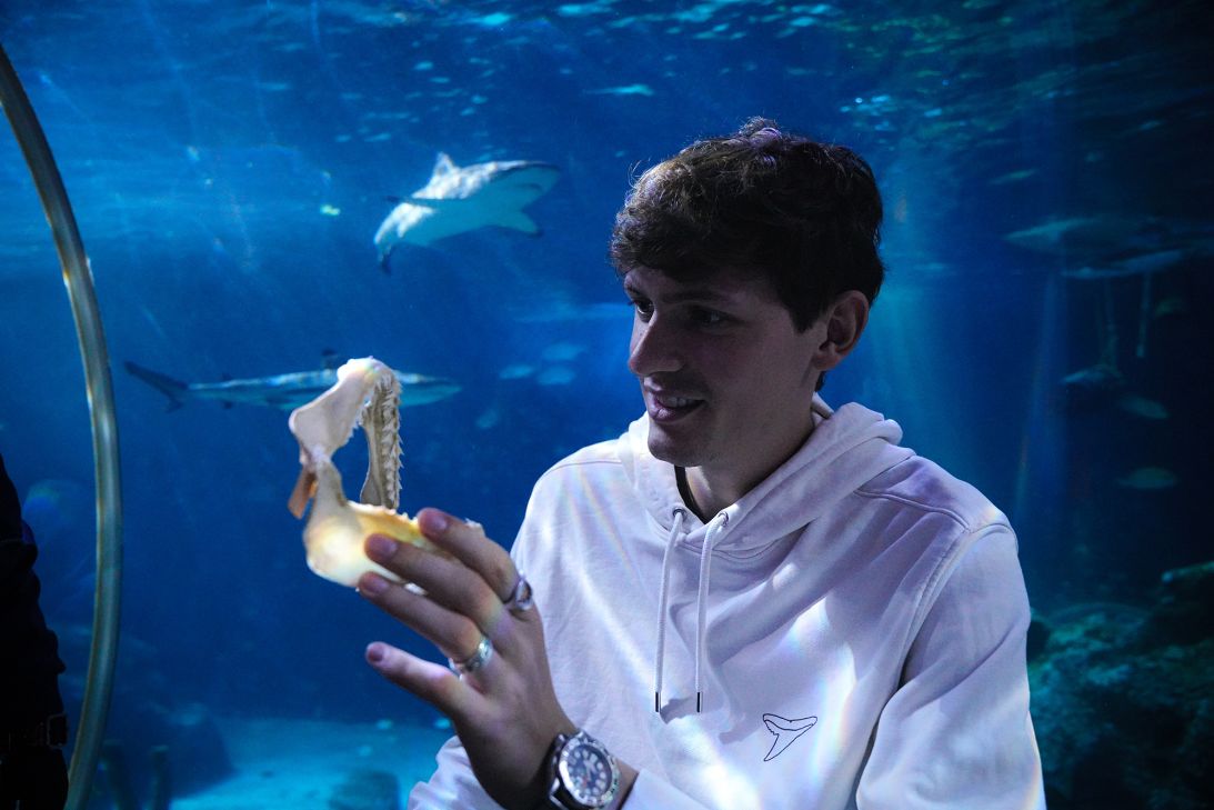 The study's lead author Maximilian Baum holds the jaw of a shark.