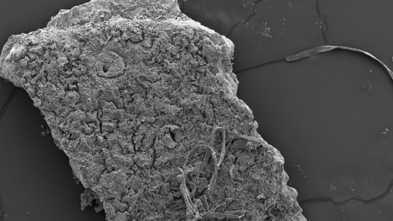 Вижте всички теми Връзката е копирана Следвайте Учени твърдят че