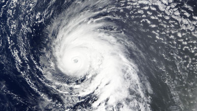 да видите всички теми Връзка копирана Следвайте Това е първият