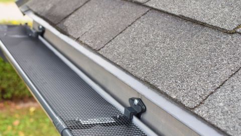 Mesh gutter guard