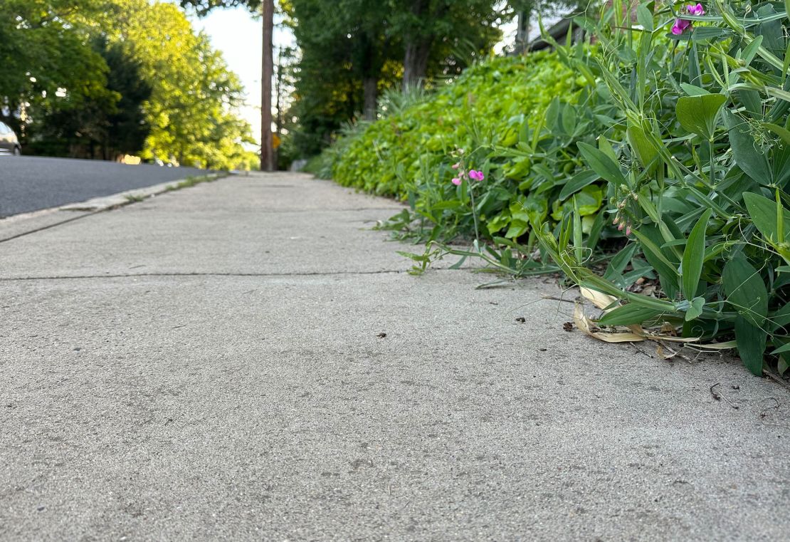 It's been more than a year since a stranger approached me as I sat in the middle of this stretch of sidewalk. I no longer remember her face, but I can still feel her warmth.