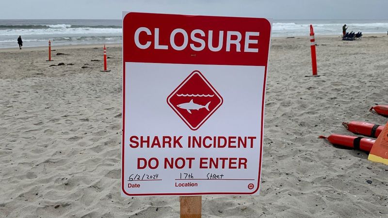 डेल मार शार्क का हमला: सैन डिएगो काउंटी में 46 वर्षीय व्यक्ति घायल हो गया