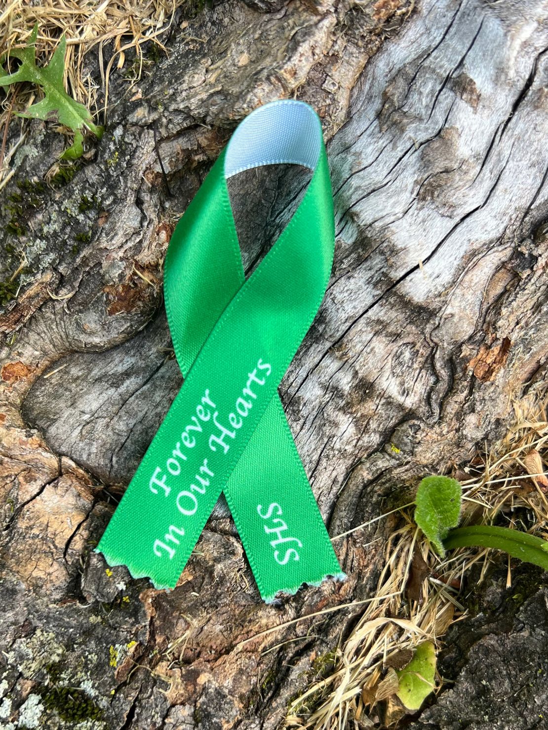 Newtown High's Class of 2024 will wear green and white ribbons on their graduation gowns to remember those they lost.