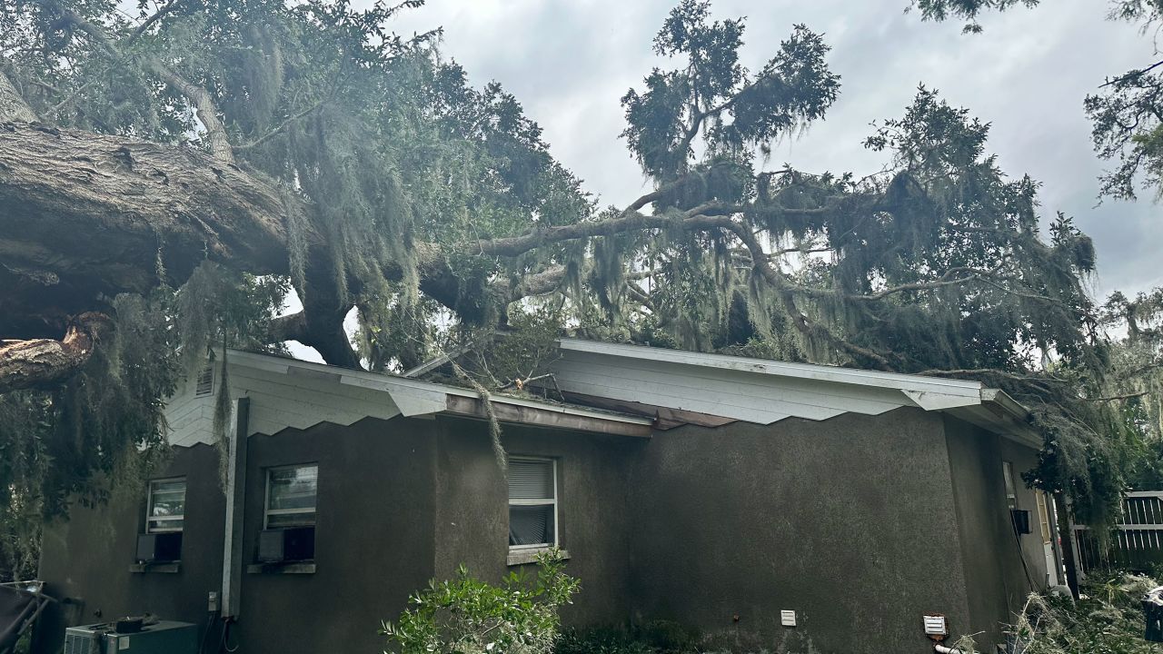 A fallen tree is seen on Kayla Lane's home in Bartow, Florida, on Thursday.