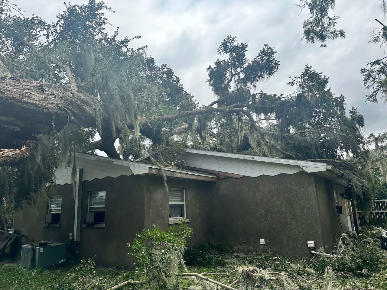 A fallen tree is seen on Kayla Lane's home in Bartow, Florida, on Thursday.