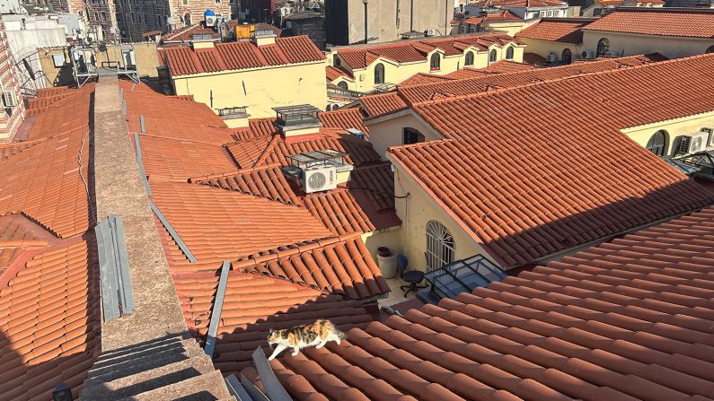 <strong>Ongoing project: </strong>The roof is in excellent order after a multimillion-dollar restoration project, but maintenance is an ongoing task.