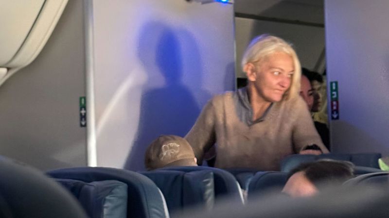 Lady who stowed away on airplane to Paris is again on US soil | The Gentleman Report