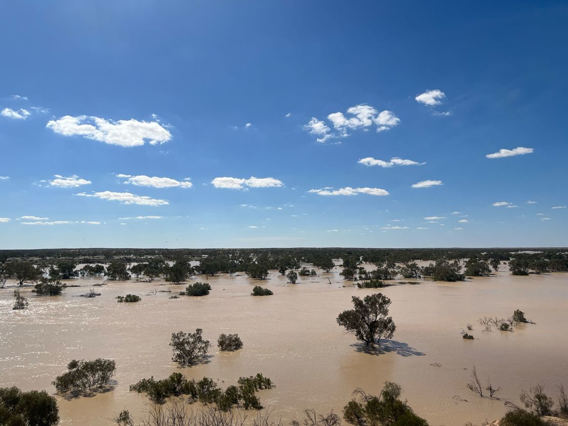 A recent image shows floodwaters moving through the Lake Eyre basin. “There is hope out there,” says Annemarie van Doorn, co-manager of the Kalamurina Wildlife Sanctuary.