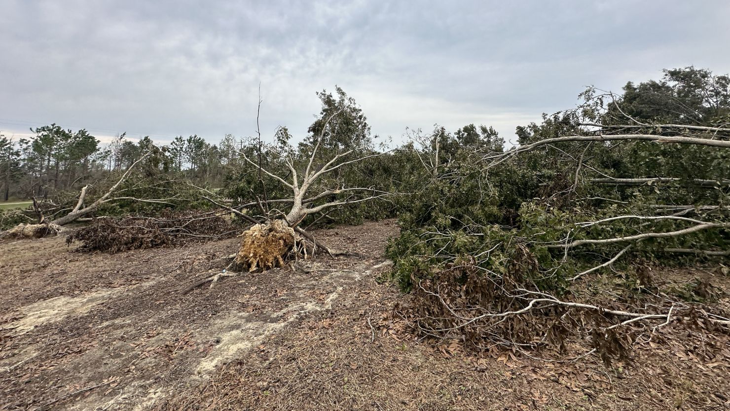 Hurricane Helene affected at least 48,000 aces of pecan trees in Georgia, according to estimates from the University of Georgia.