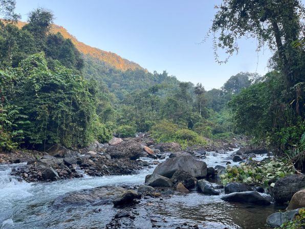 The expedition to Makira Natural Park, which is home to the largest and most intact forest in Madagascar, took place in September 2023 but its results are only being published now. The team rediscovered 21 “lost” species during the trip.