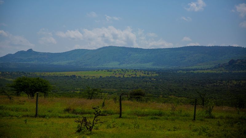 Вижте всички теми Връзка копирана Следвайте Споразумението следва дълга правна