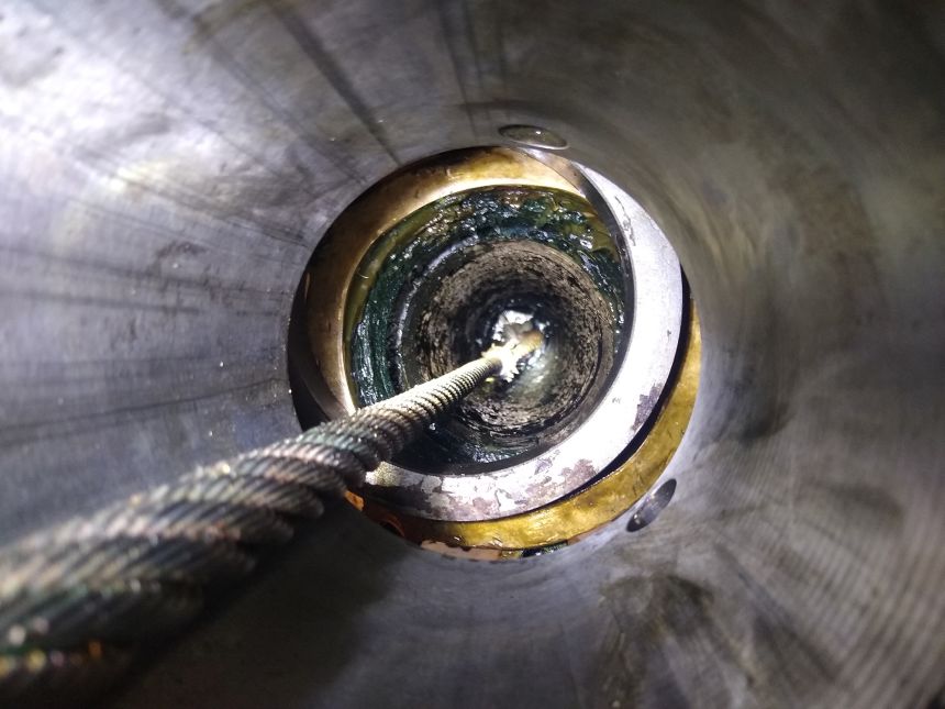 This material thrived in the oxygen-free environment of the blue heron rudder shaft.