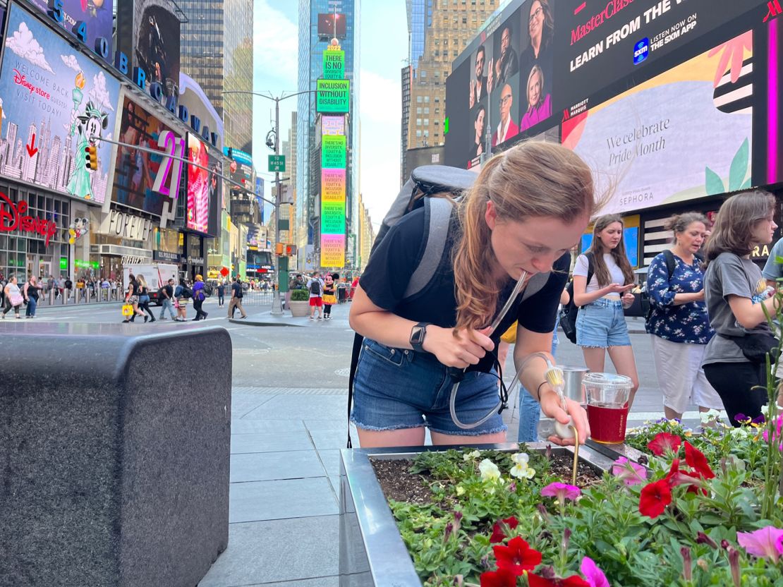 Samantha Kennett, the study's lead author, collected ManhattAnts in planters found in Times Square.