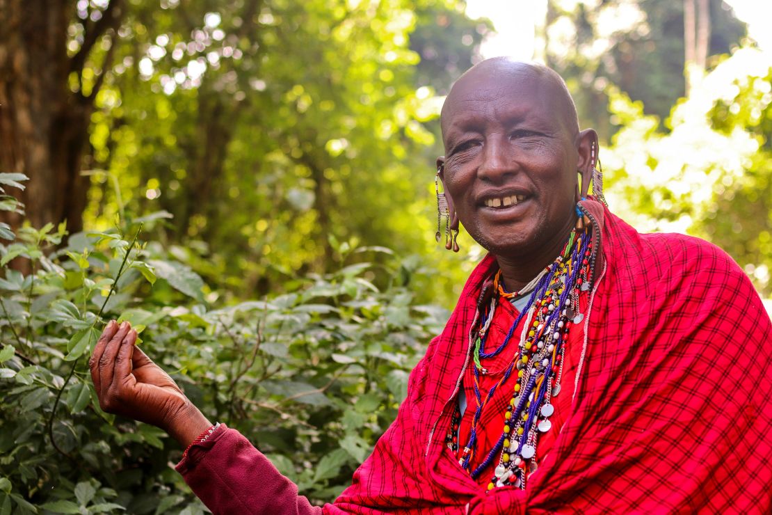 Parmuat Ntirua Koikai, a Maasai elder, picks herbal medicines from the forest. “We use it as a clinic, a hospital,” he said, of the forest.