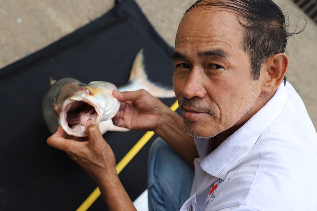 The giant salmon carp has been rediscovered in Cambodia.