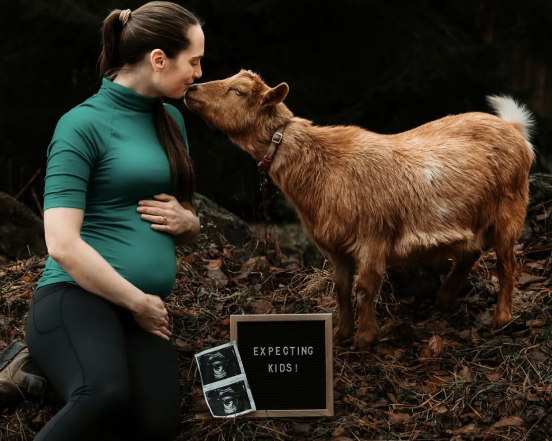Stephanie Zuroski and her pet goat Cotton announced their pregnancies together. Cotton has since given birth to quadruplets.