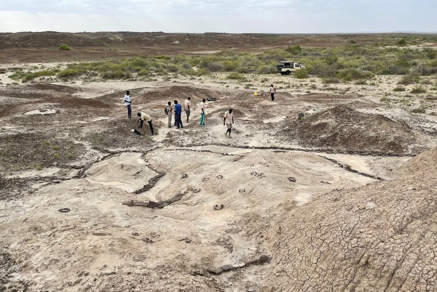 The Koobi Fora site yielded a rich variety of fossils, including footprints.