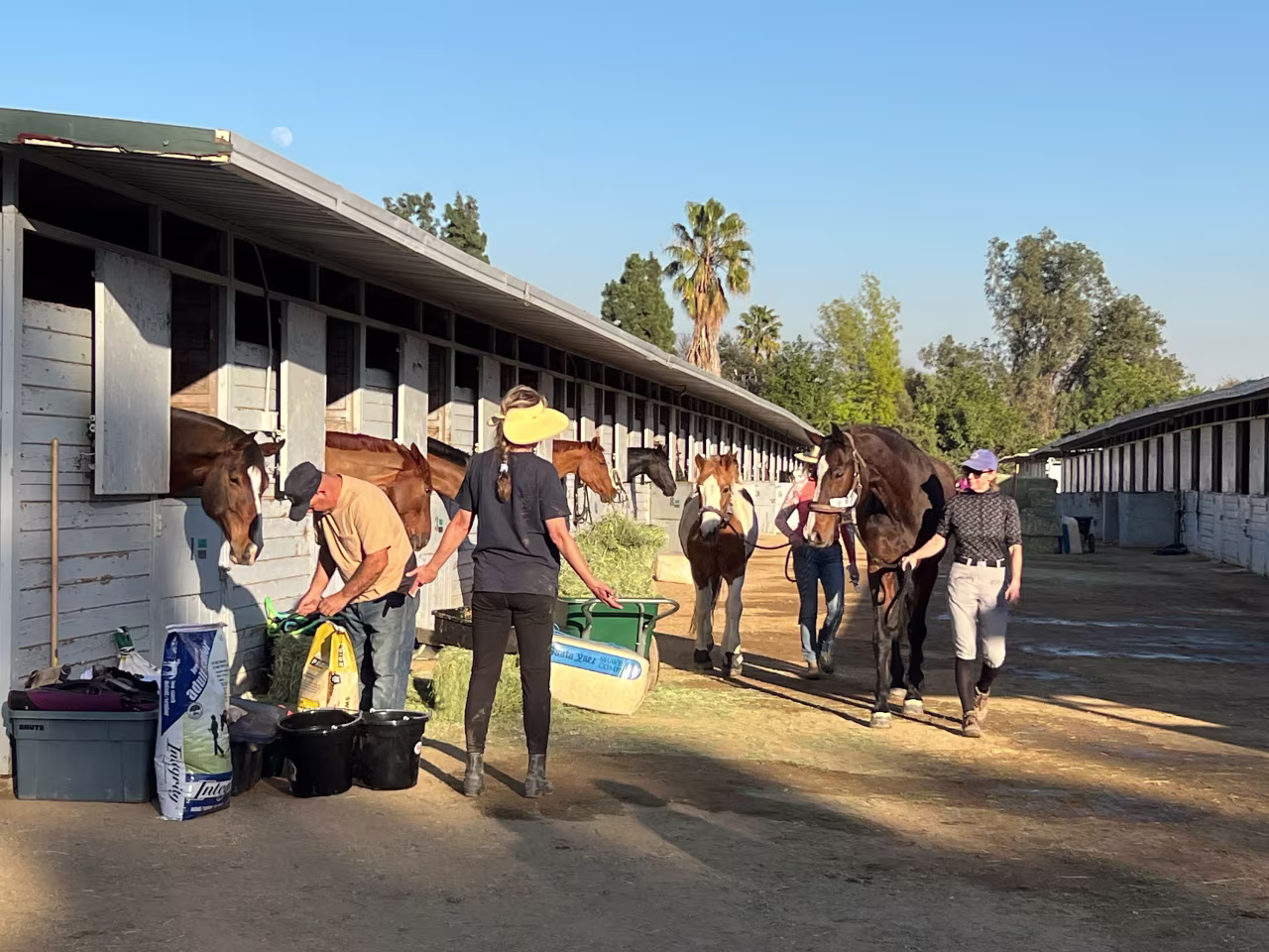 Horses are sheltered at the Los Angeles Equestrian Center on January 11.