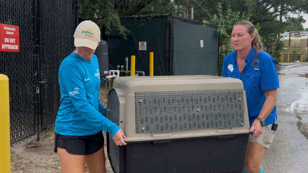 Team members work at ZooTampa in preparation for the potential impact of Hurricane Milton, in Tampa, Florida.