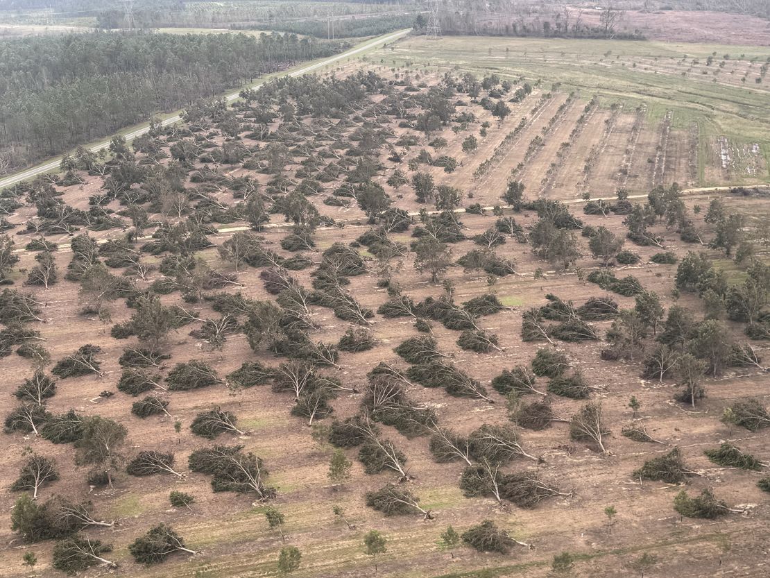 The Moses pecan farm in Uvalda, Georgia was battered by Hurricane Helene, losing all of its pecan-producing trees.