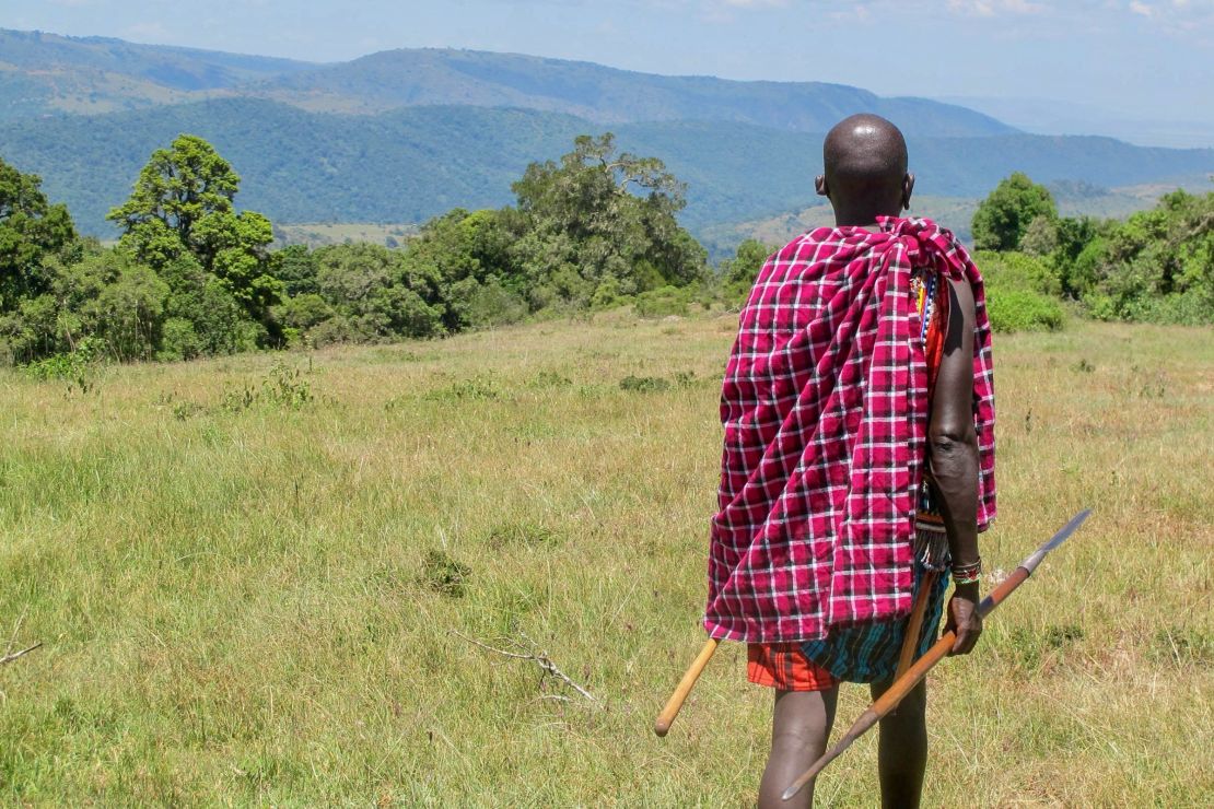 Holding a spear in one hand and a rungo, a traditional hunting club, in the other, a man walks through a forest clearing. Increasingly, younger generations of Maasai are spending less time in the forest.