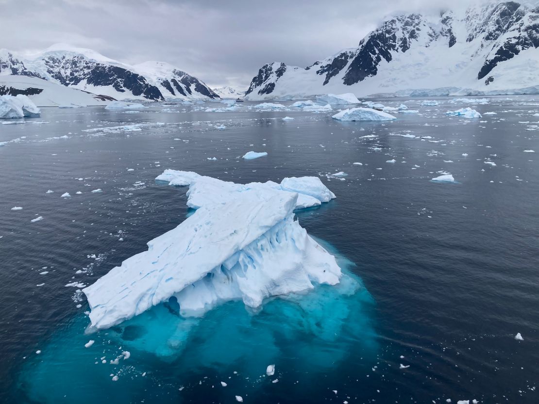 Visitors to Antarctica must follow rules to protect the environment.