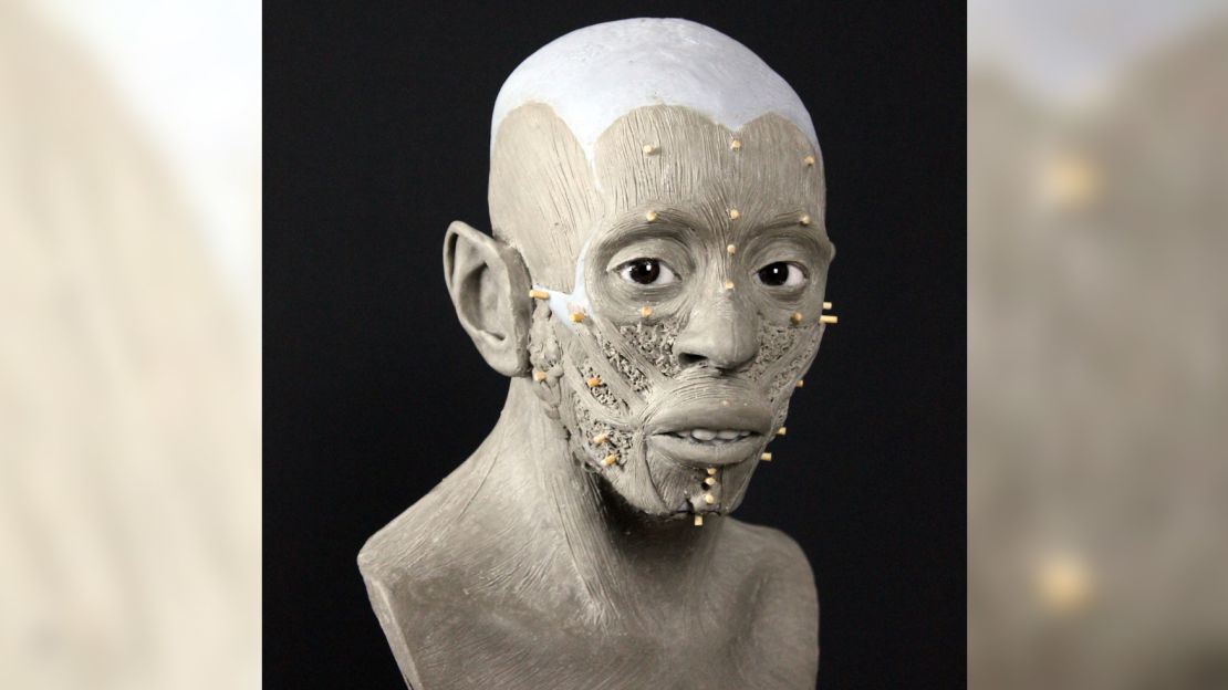 Weefseldieptemarkeringen en CT-scans hielpen Oscar Nelson het gezicht van Ice Maiden te reconstrueren.