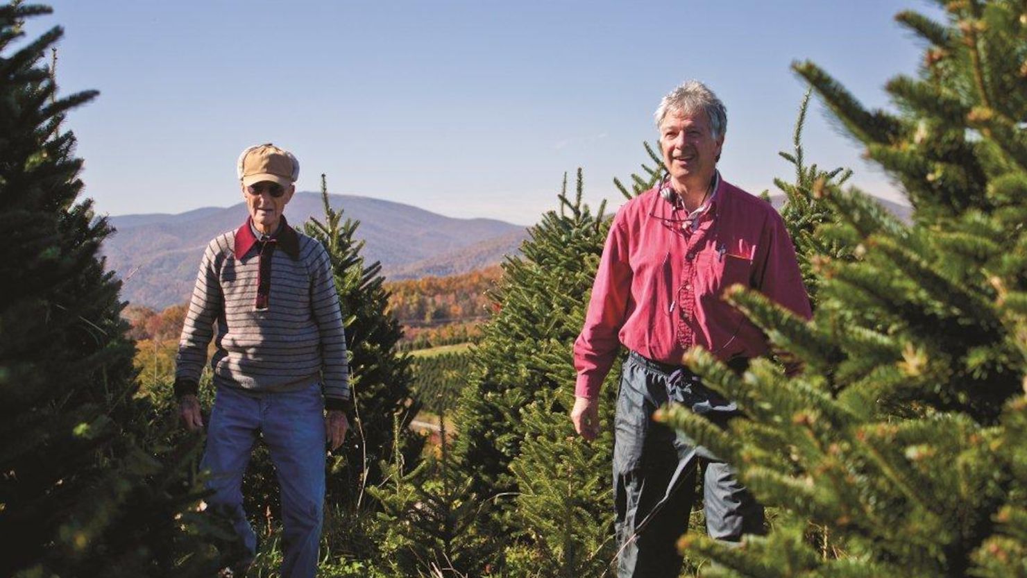 White House Christmas tree for 2024 comes from North Carolina farm hit