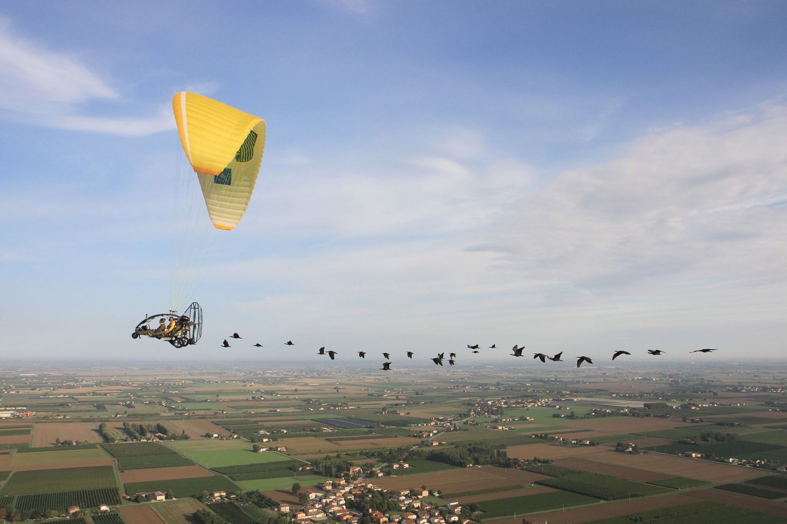 Another unique effort to establish a migratory population in Austria and Germany is ongoing, led by Austrian biologist Johannes Fritz. In 2003, Fritz, along with his conservation and research group <a href="index.php?page=&url=https%3A%2F%2Fwww.waldrappteam.at%2Fmigration%2F" target="_blank">Waldrappteam</a>, began reintroducing captive birds into the wild, but having been raised in zoos they did not know which way to migrate. Inspired by the 1996 film “Fly Away Home,” in which a teenager leads a flock of migrating geese in a hang glider, Fritz concocted the idea of personally teaching the migration path by leading the flock in an ultralight aircraft, flying from Germany to Italy. In this picture, a group of ibises follow the Waldrappteam hang glider during their migration.