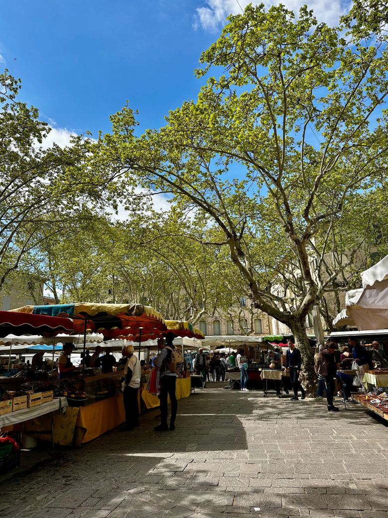 She feels that ChatGPT 