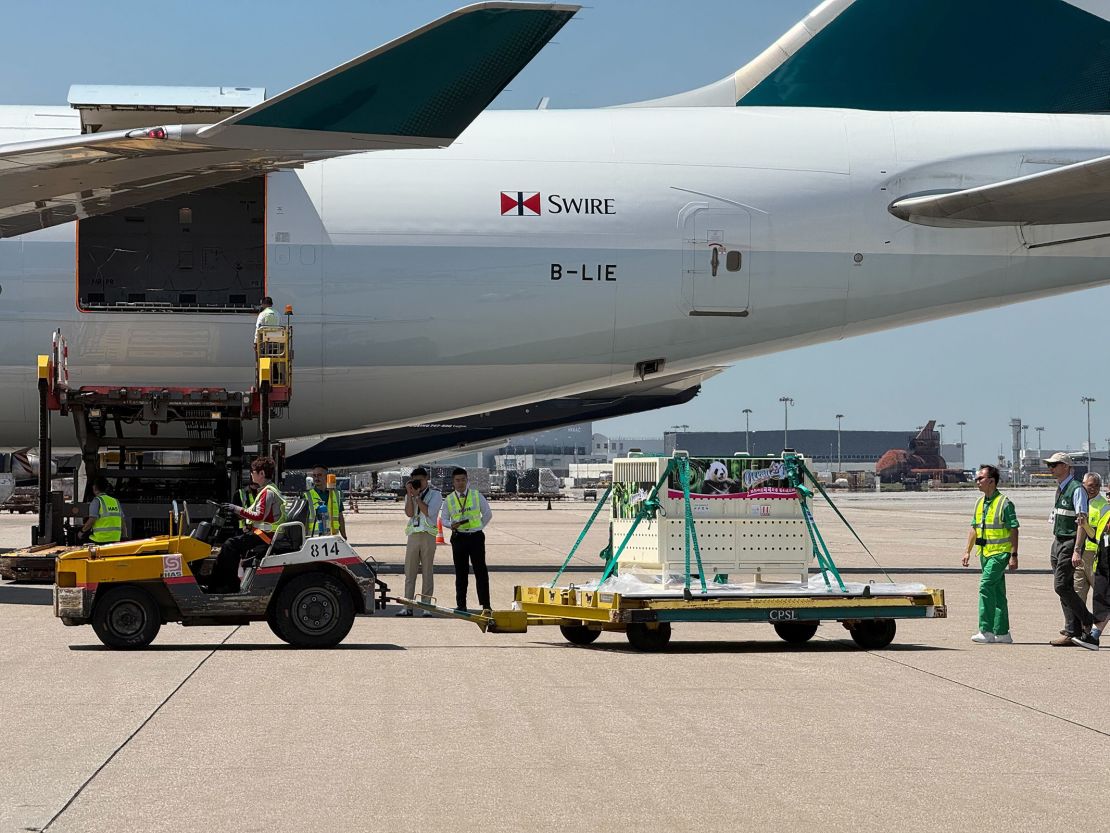 Workers unload two giant pandas off the aircraft after they are assessed for their conditions on board.