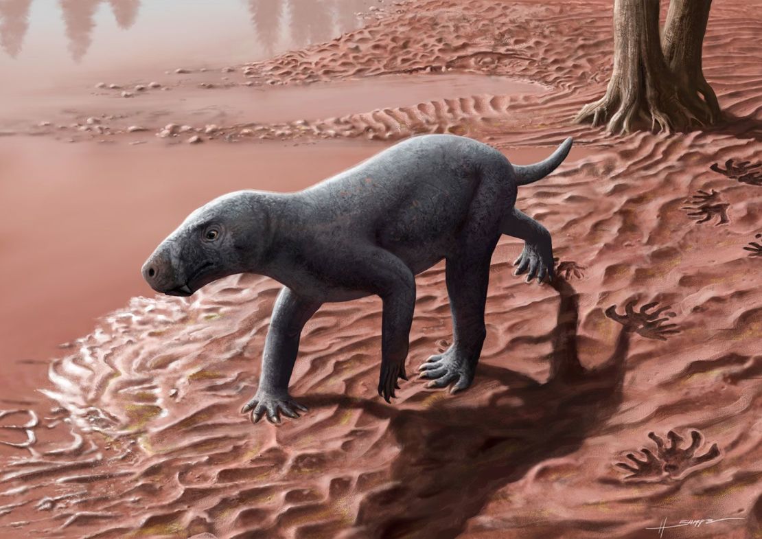 An artist's illustration depicts a newfound species of gorgonopsian, a distant relative of mammals considered to be the oldest of its kind, according to a new study.