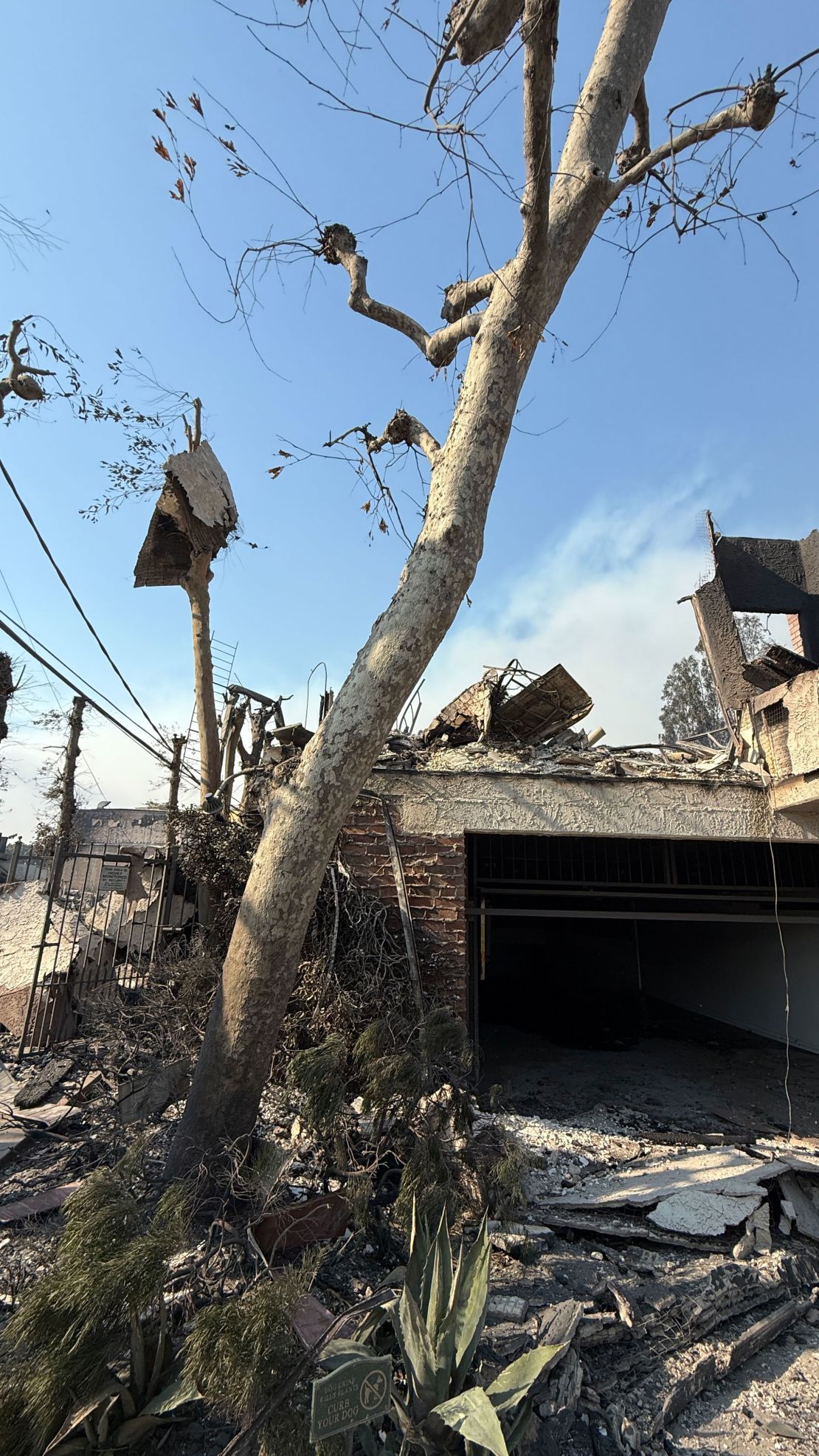 An outside view of the condo building where Chad Comey's unit was is pictured on January 9. The garage is shown, as well as a piece of balcony hanging from a tree, where his window was.