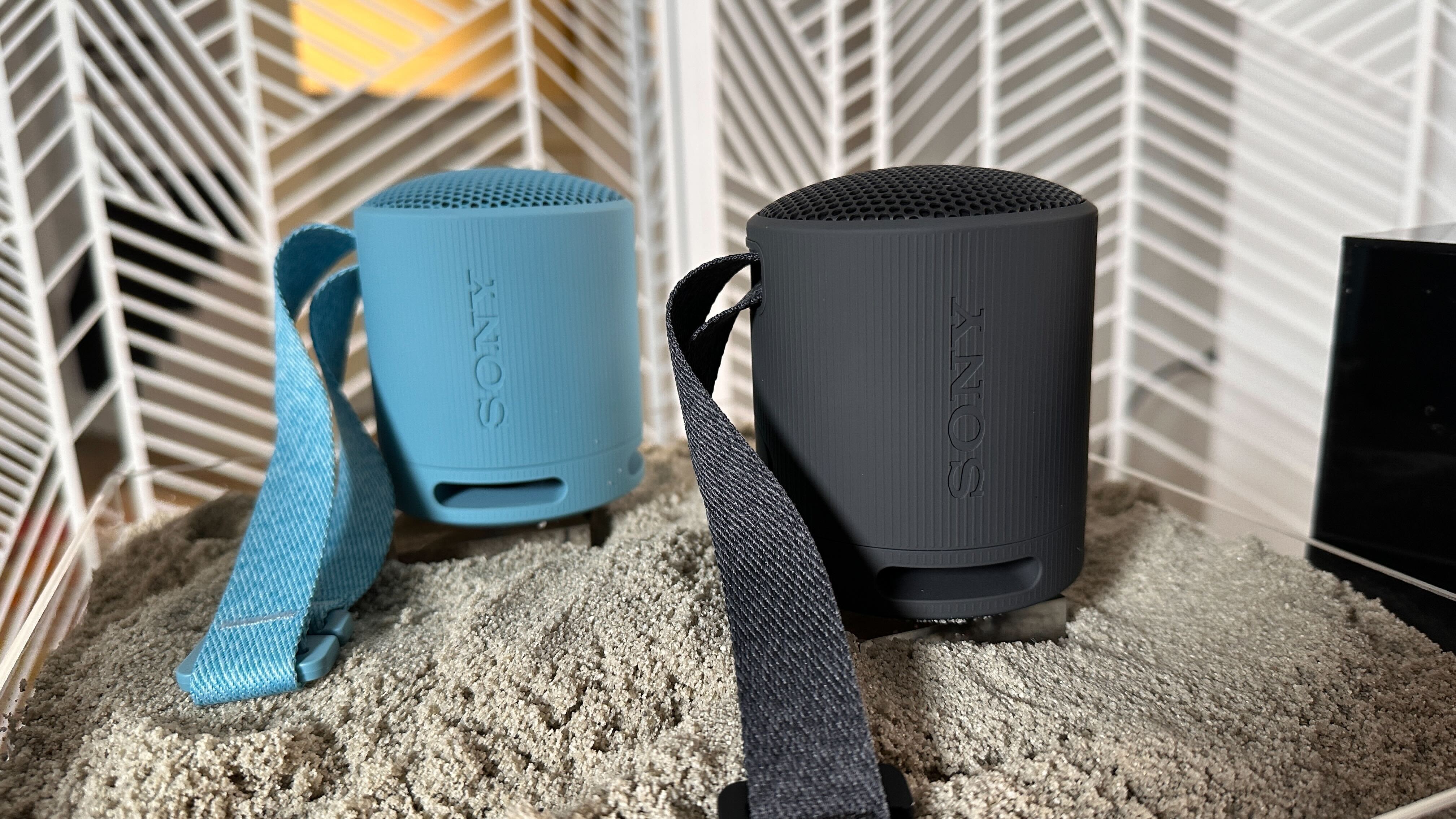 Sony SRS-XB100 Bluetooth speaker review