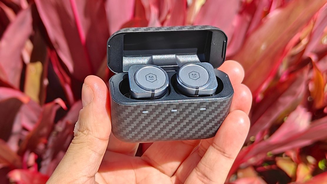 A hand holding a pair of encased wireless earbuds in front of a reddish-pink plant.