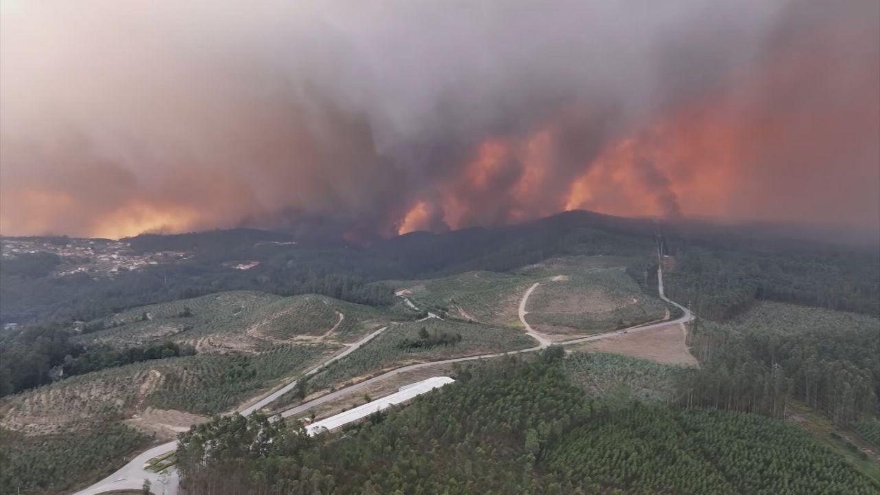 Incendios Portugal.00_00_48_04.Still001.jpg