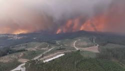 Incendios Portugal.00_00_48_04.Still001.jpg