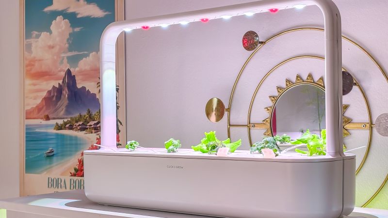 Aeroponic Indoor Planter【室内・屋外兼用】植物育成ライト Amazon.co.jp: 雲見 植物育成ライト LED スタンド 室内栽培ライト 定時