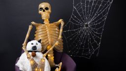 skeleton decoration hugging a cat ghost pillow with a lit spider web in the background
