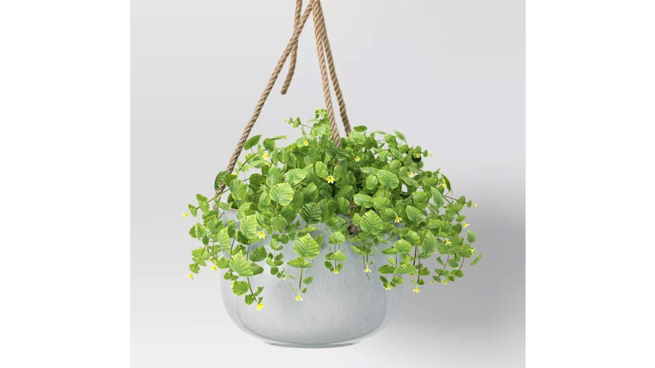 12 Target Plant Pots and Planters to Decorate Your Space