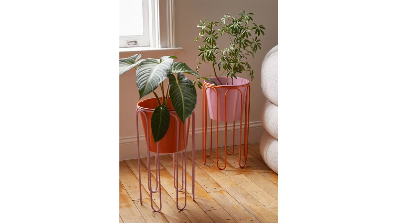 indoor plants uo planters