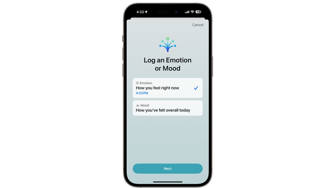 <em>Logging your mood in Apple Health</em>