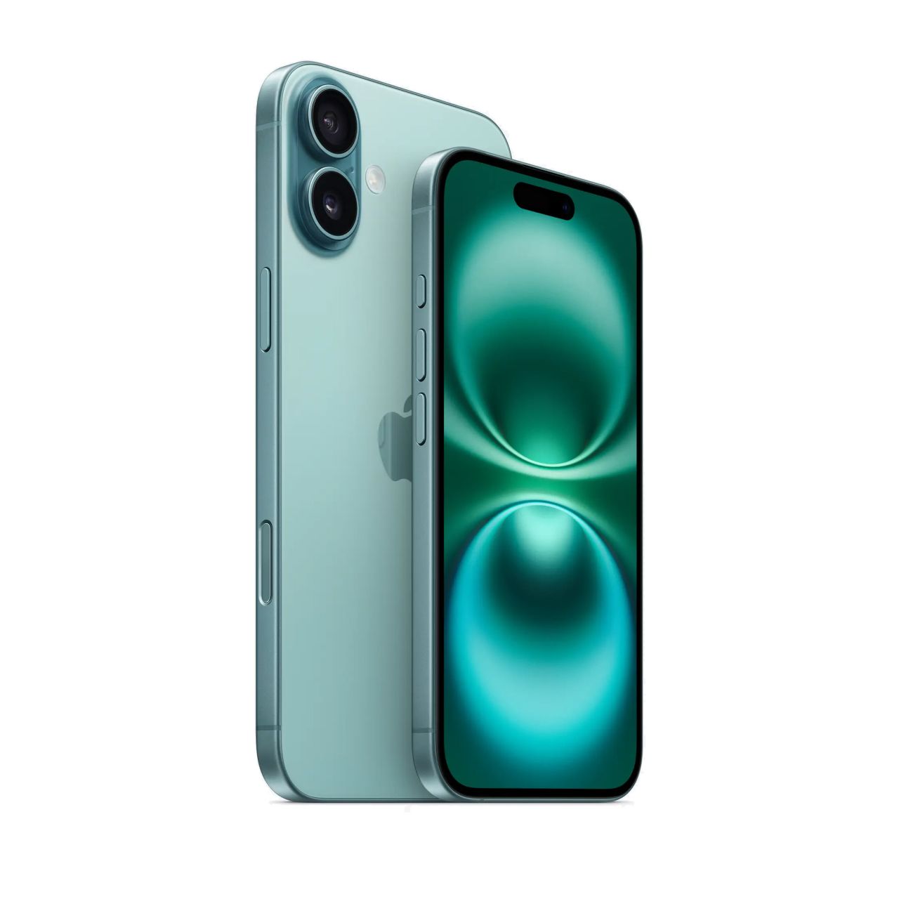 The teal iPhone 16 Plus and regular, seen from the back and front