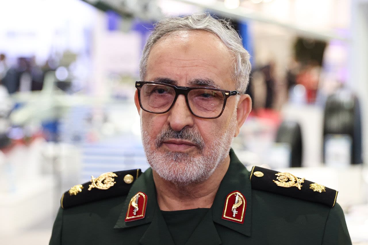 Ali Shadmani in 2024