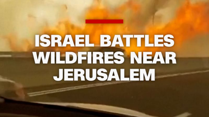 Wildfires Near Jerusalem Cause Injuries, International Response Mobilized