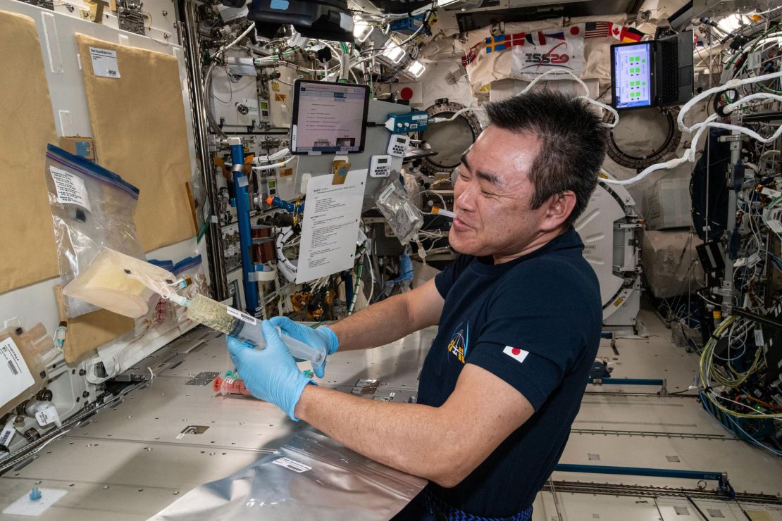 Commander Akihiko Hoshide of the Japan Aerospace Exploration Agency (JAXA) thaws mouse embryo samples aboard the ISS, as part of a 2021 mission, to learn how the space environment affects key phases of reproduction.